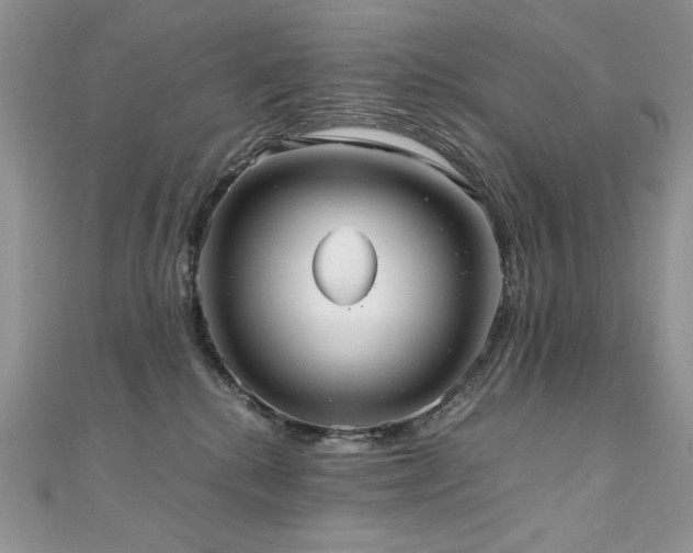 X0000110930280200906181435