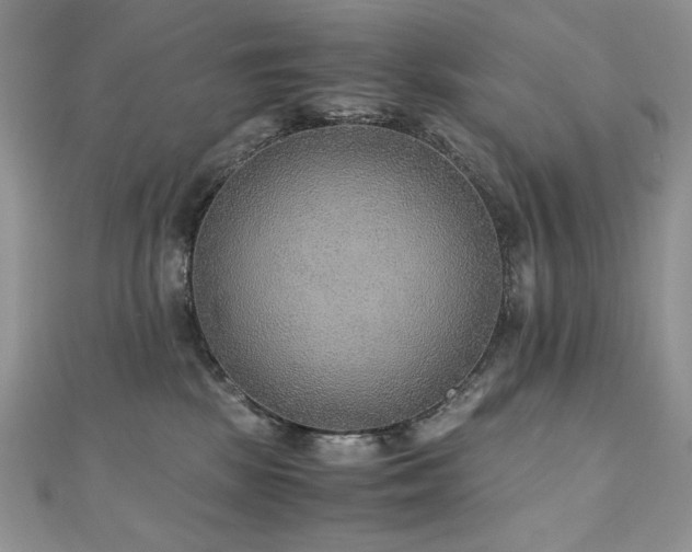 X0000110930281200906181435
