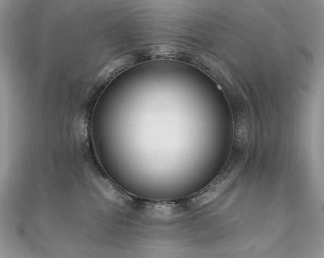 X0000110930282200906181435