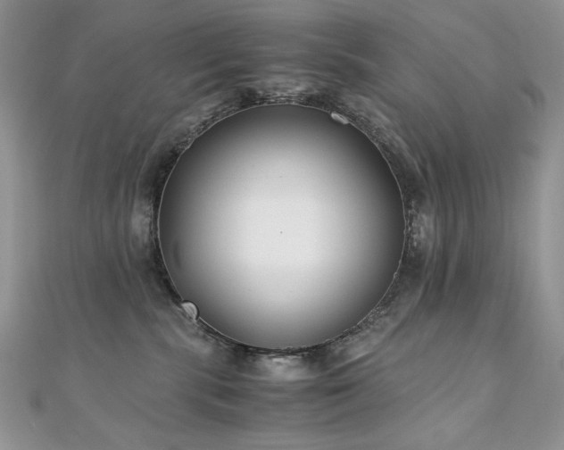 X0000110930283200906181435