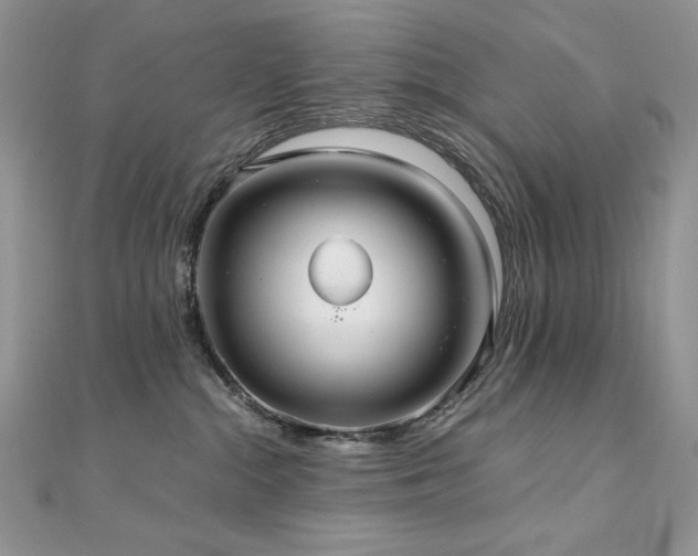X0000110930284200906181435