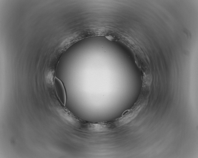 X0000110930286200906181435