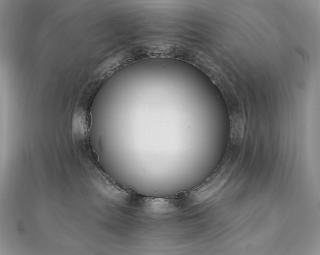 X0000110930287200906181435