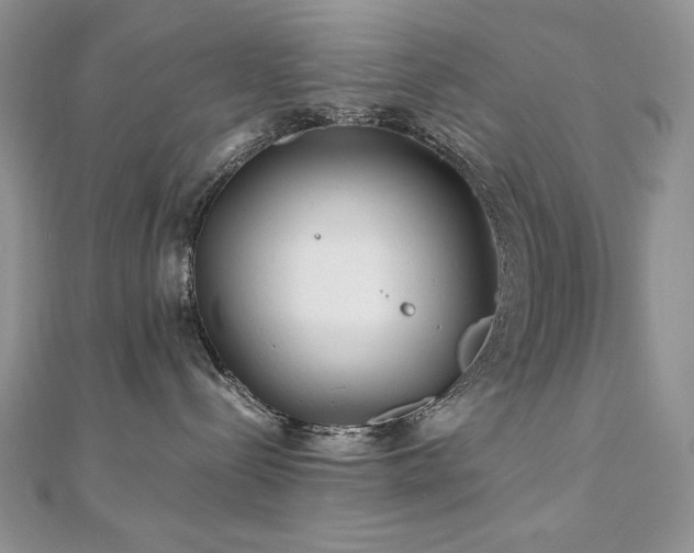 X0000110930288200906181435