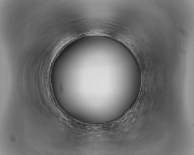 X0000110930289200906181434