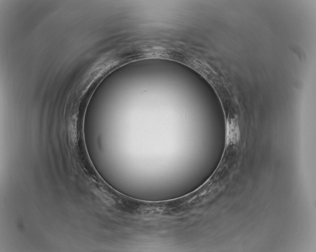 X0000110930291200906181434