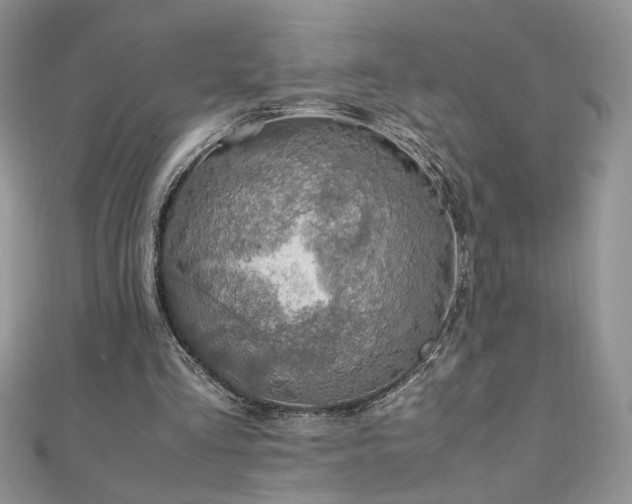 X0000110930293200906181434