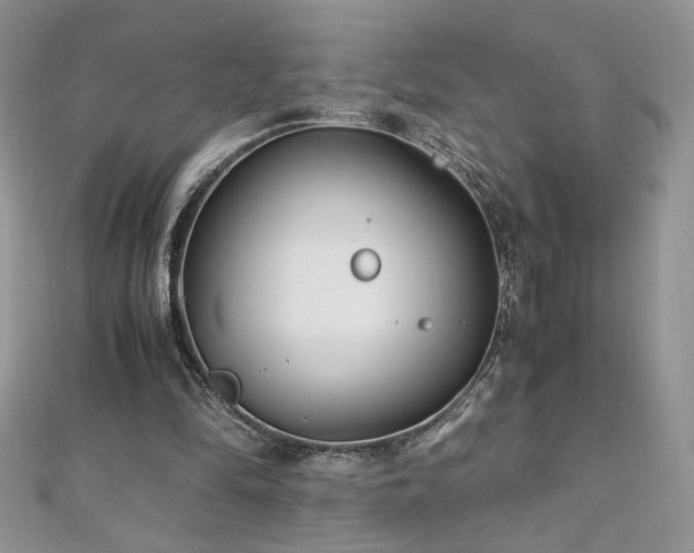 X0000110930294200906181434