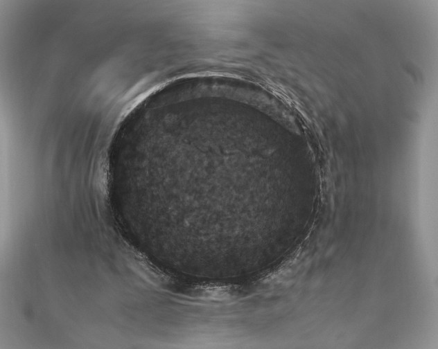 X0000110930295200906181434