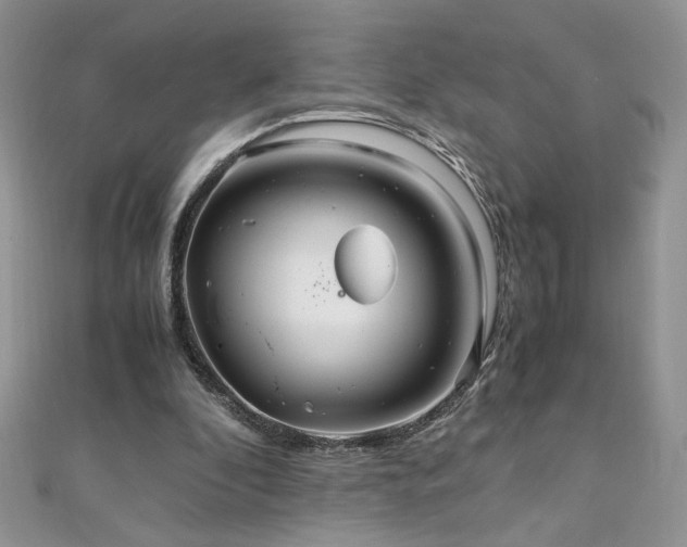 X0000110930296200906181434