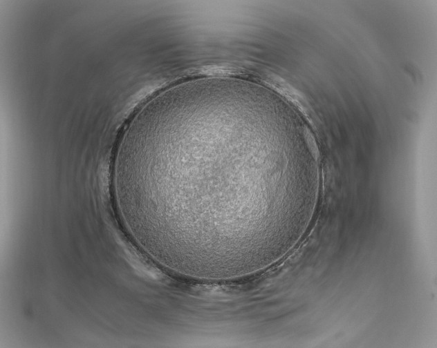 X0000110930297200906181434