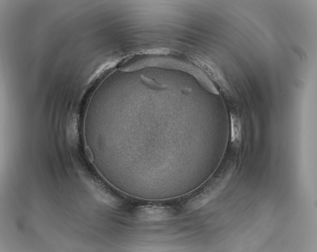 X0000110930300200906181434
