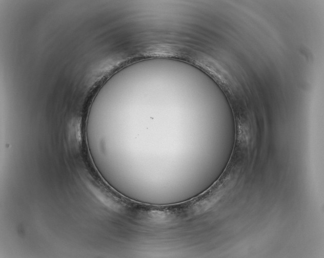 X0000110930302200906181434
