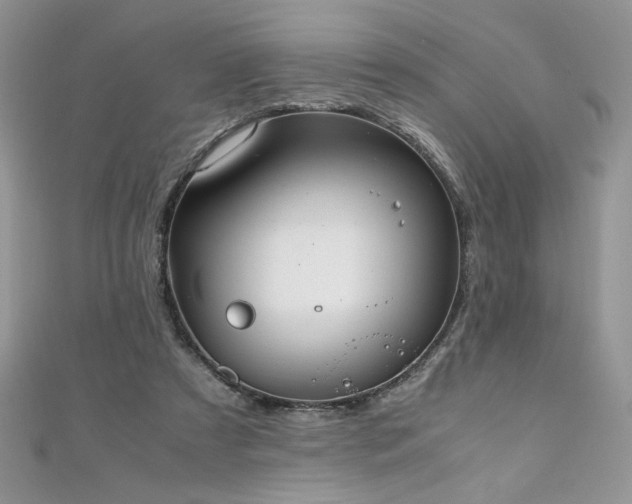 X0000110930305200906181434