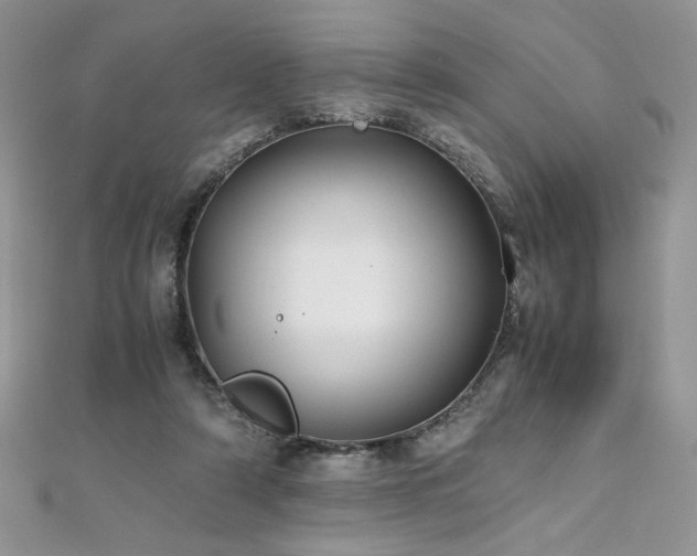 X0000110930306200906181434