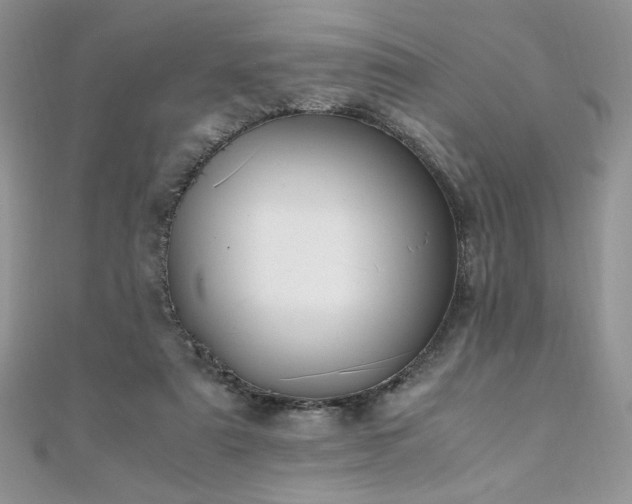 X0000110930307200906181434