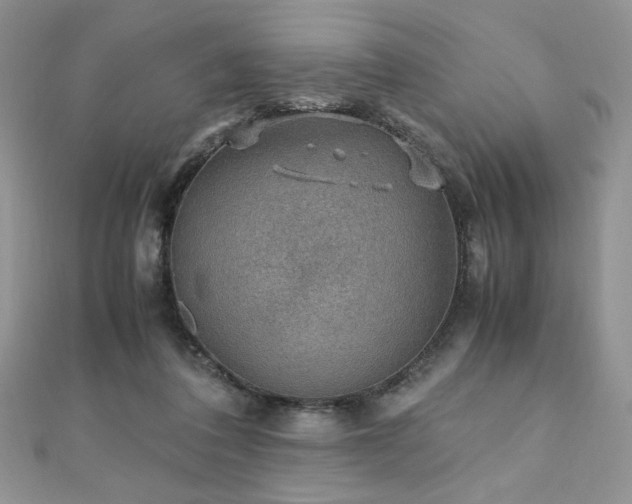 X0000110930308200906181434