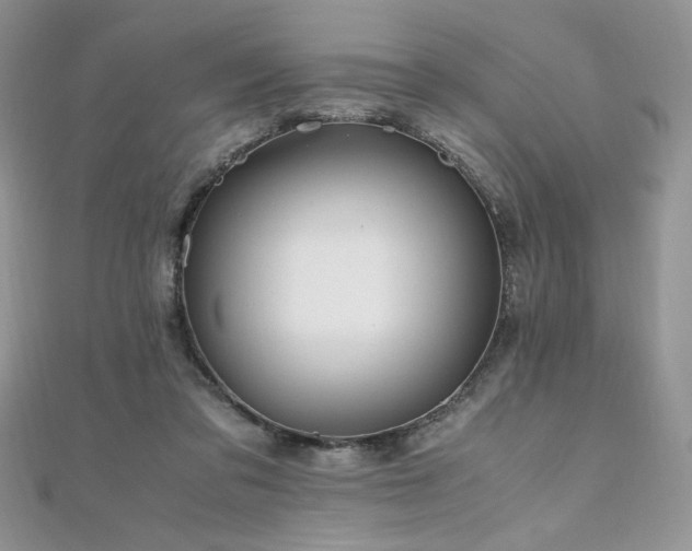 X0000110930309200906181434