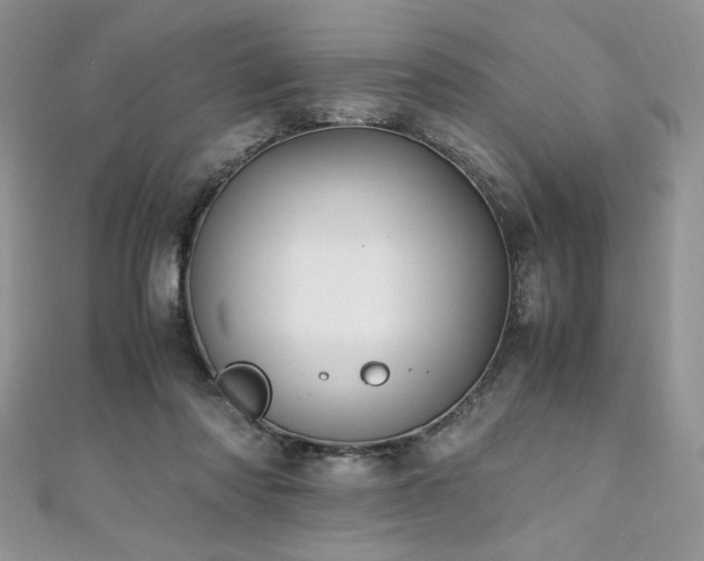 X0000110930310200906181434