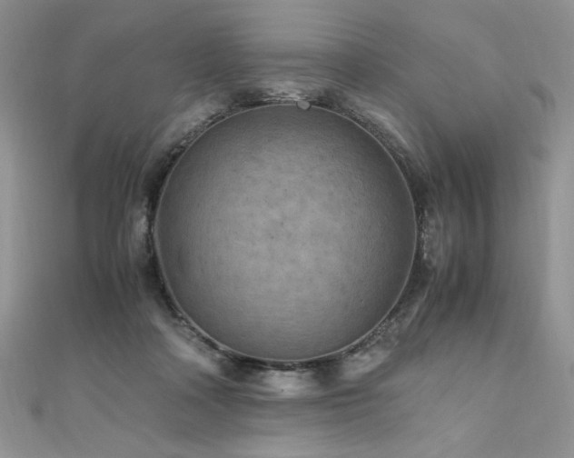 X0000110930314200906181434