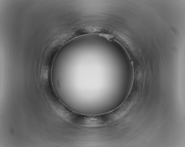 X0000110930315200906181434