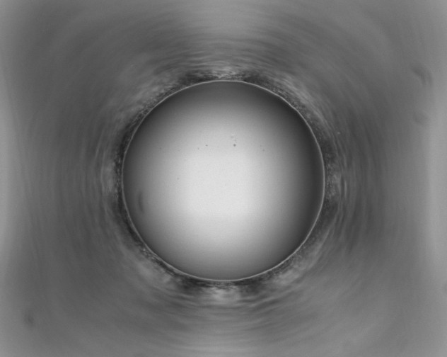 X0000110930317200906181434
