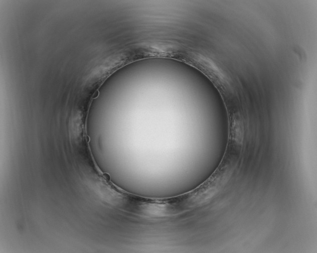 X0000110930318200906181434