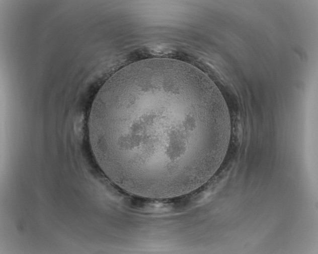 X0000110930319200906181434