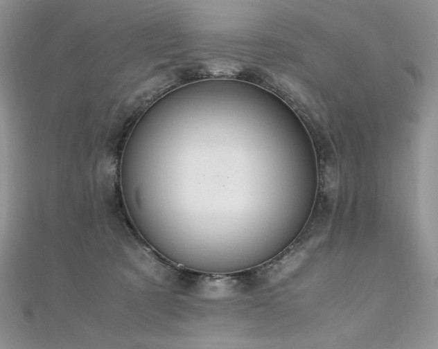 X0000110930321200906181434