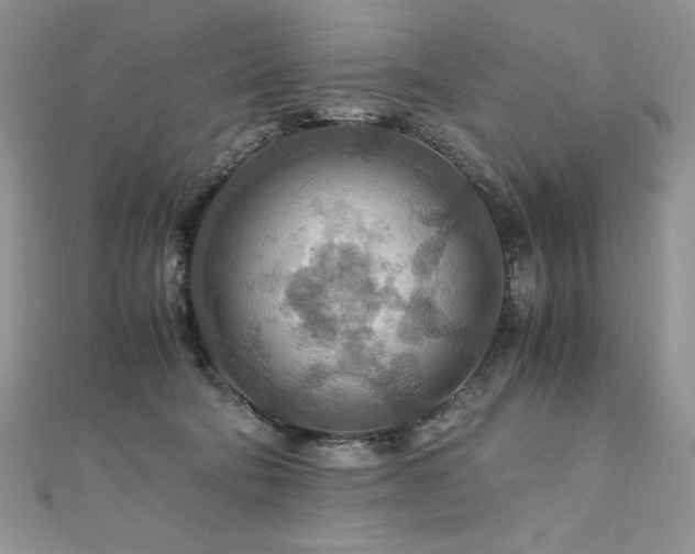 X0000110930322200906181434
