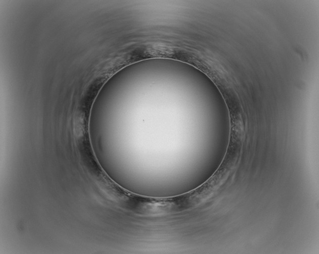 X0000110930323200906181434