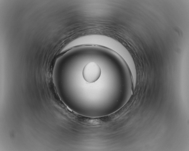 X0000110930324200906181434