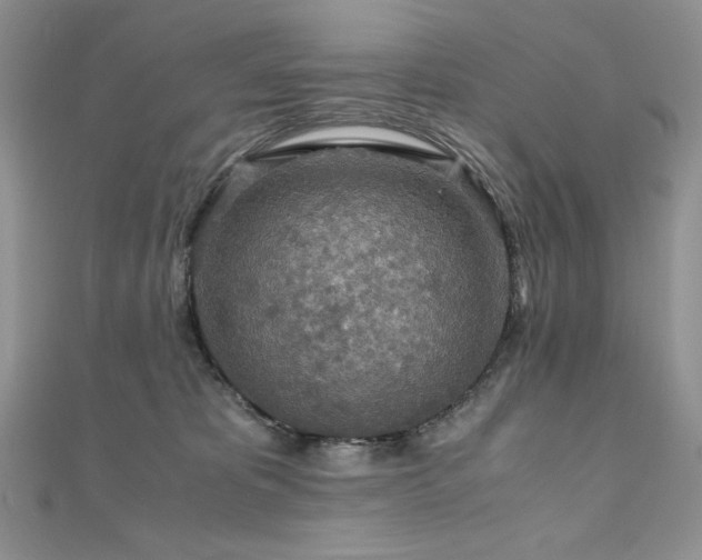 X0000110930325200906181434