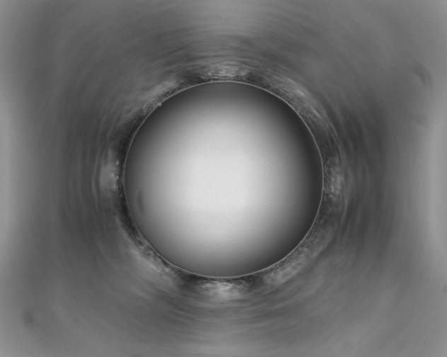 X0000110930326200906181434