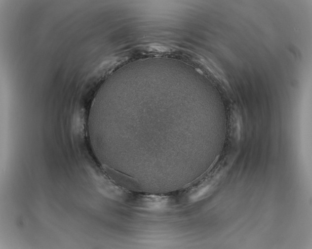 X0000110930328200906181434