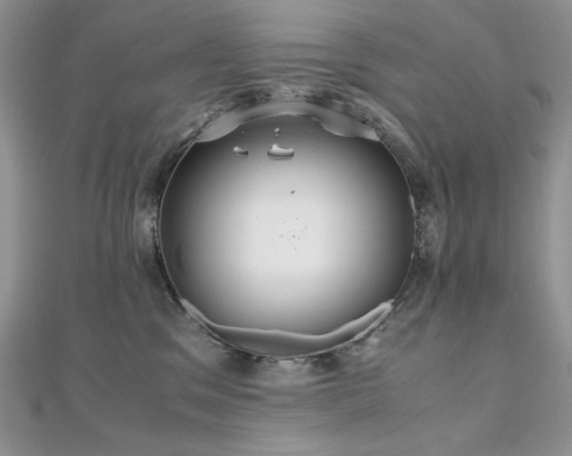 X0000110930329200906181434