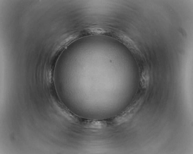 X0000110930330200906181434
