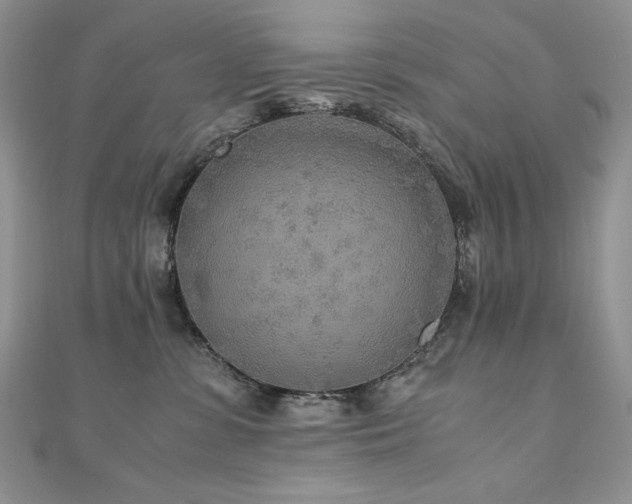 X0000110930331200906181434