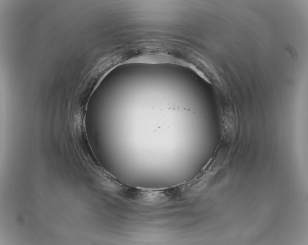 X0000110930333200906181434