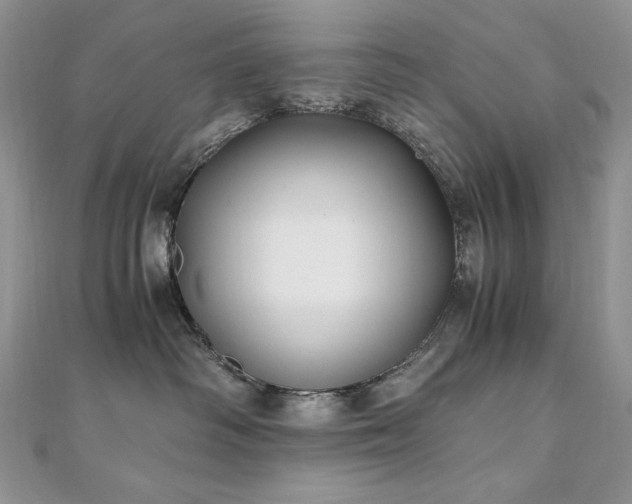 X0000110930334200906181434