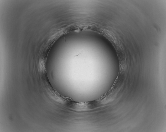 X0000110930335200906181434