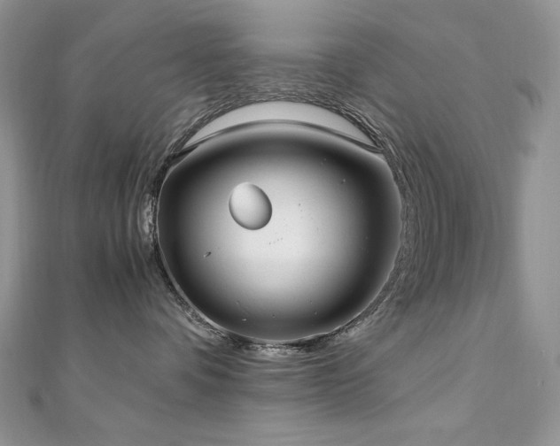 X0000110930336200906181434