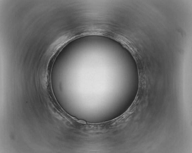 X0000110930338200906181433