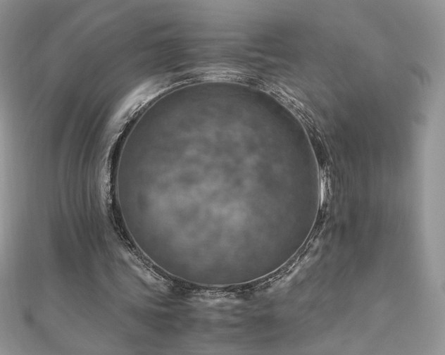 X0000110930339200906181433
