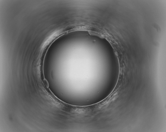 X0000110930341200906181433