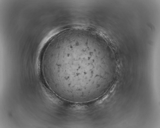 X0000110930343200906181433