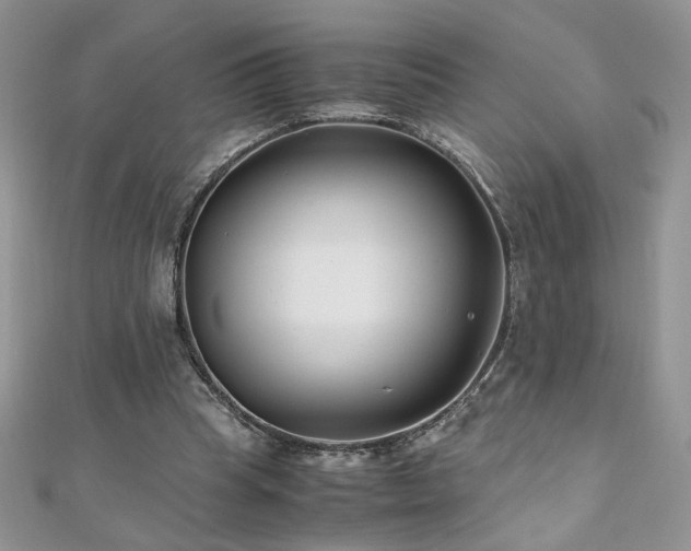 X0000110930345200906181433