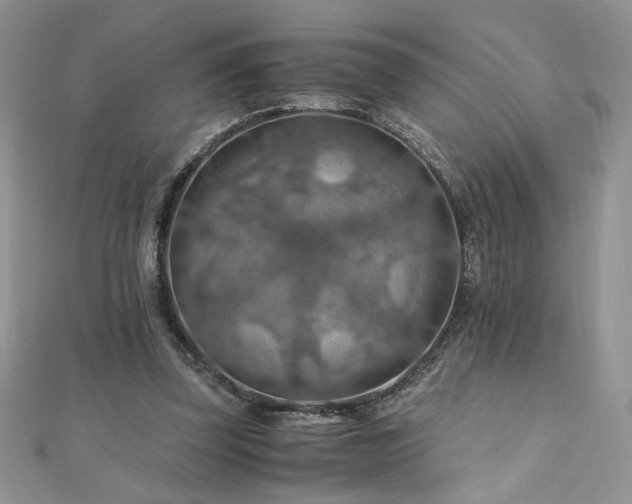 X0000110930347200906181433