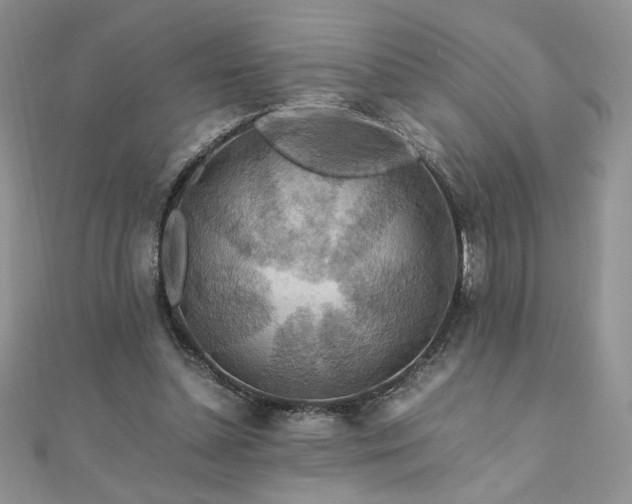 X0000110930348200906181433