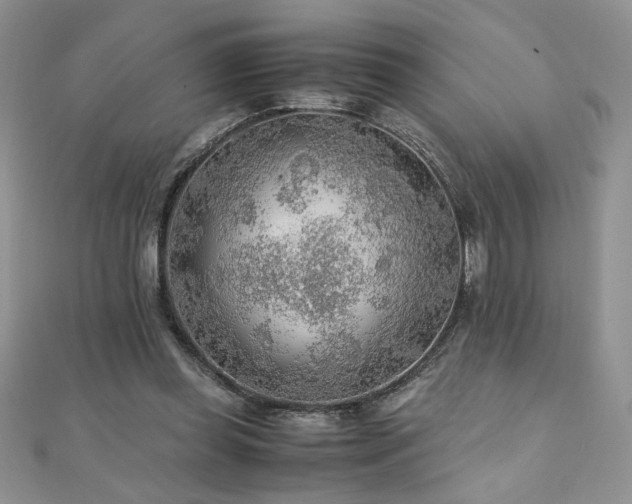 X0000110930349200906181433